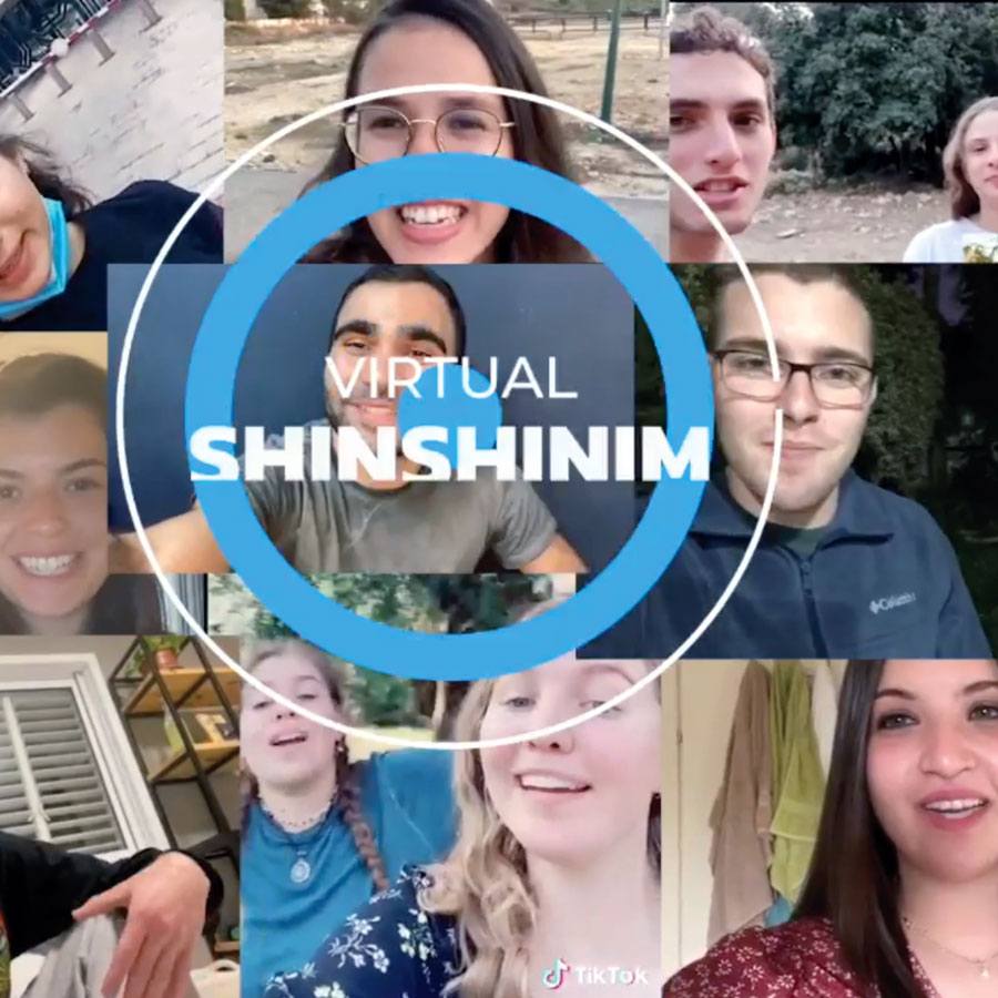virtual shinshinim session screenshot