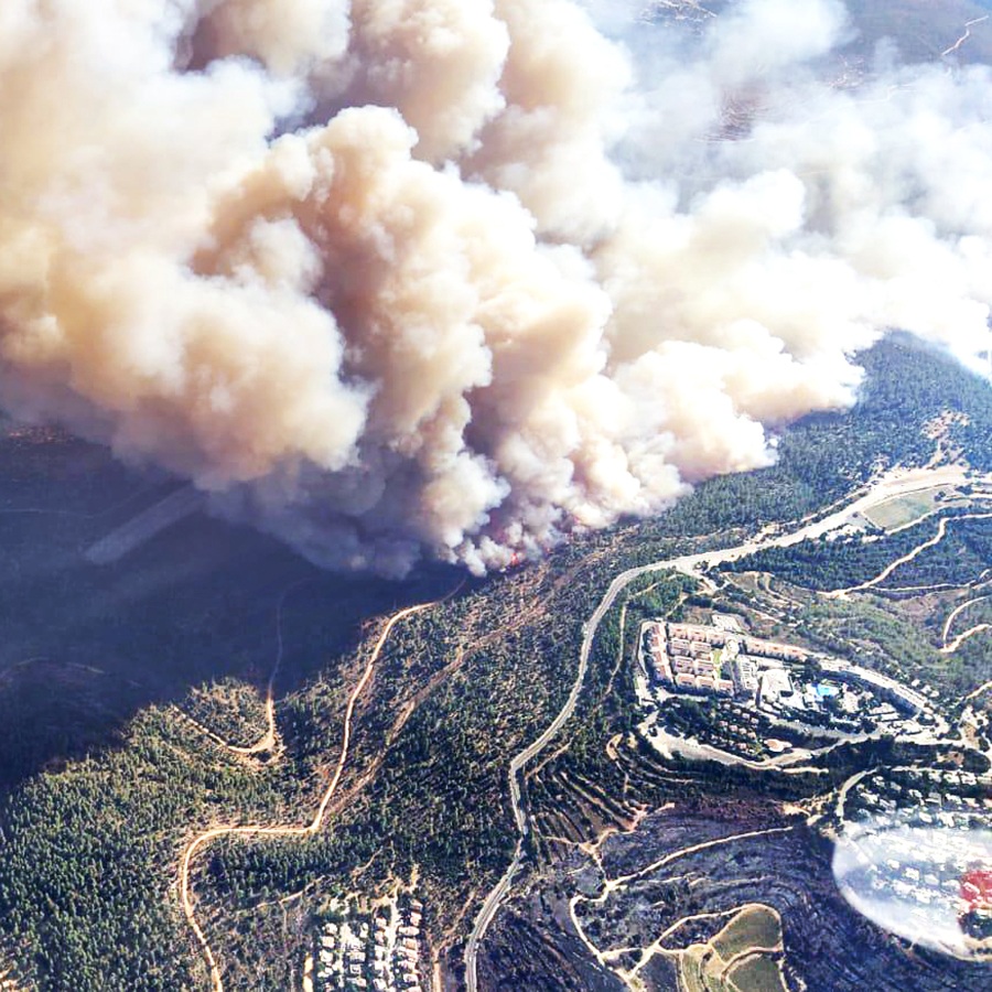 August Wildfires in Israel