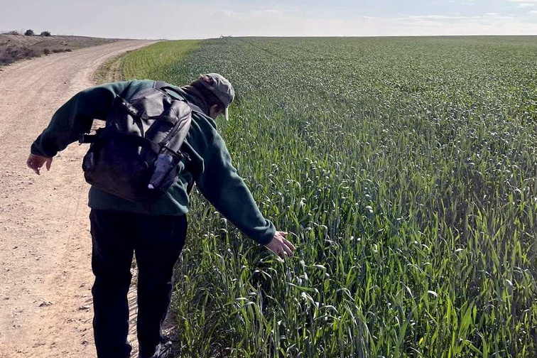 Eitan in a field during an Aardvark trip