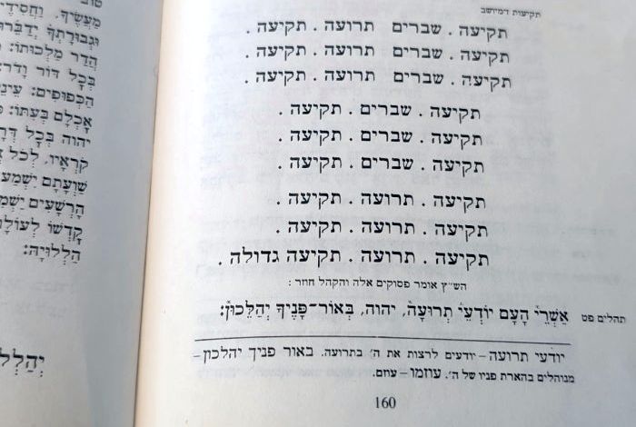 The sequence of shofar blasts, as found in the Rosh Hashanah prayer book (machzor). Photo by: Shooky Galili